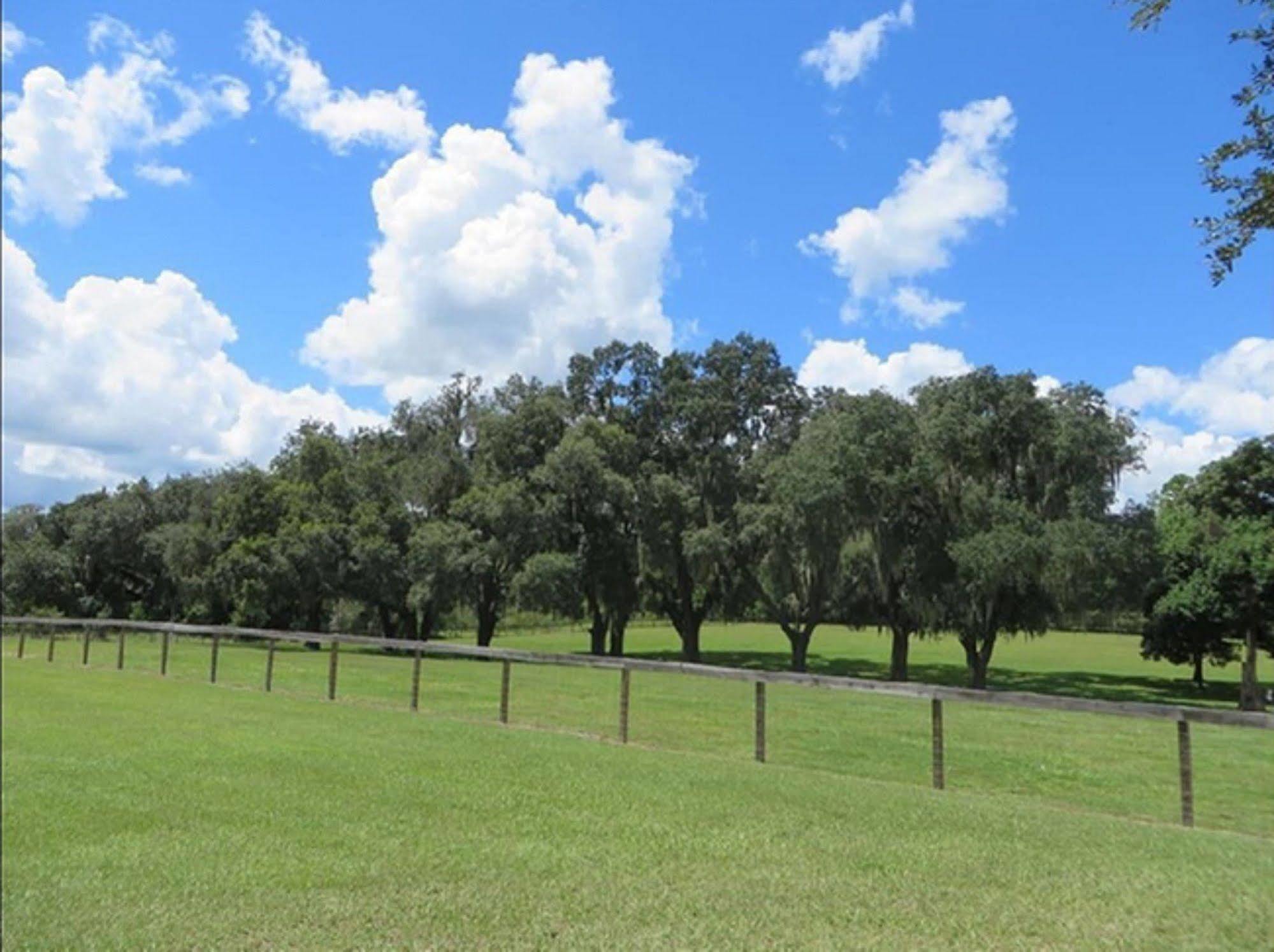 Bed and Breakfast Rock Pointe Ranch Floral City Экстерьер фото